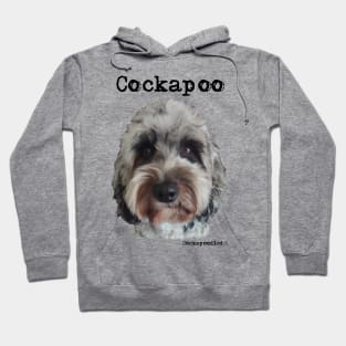 Merle Cockapoo / Spoodle and Doodle Dog Hoodie